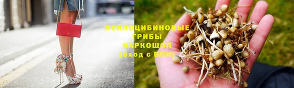 стафф Михайловка