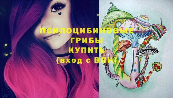 таблы Михайловск